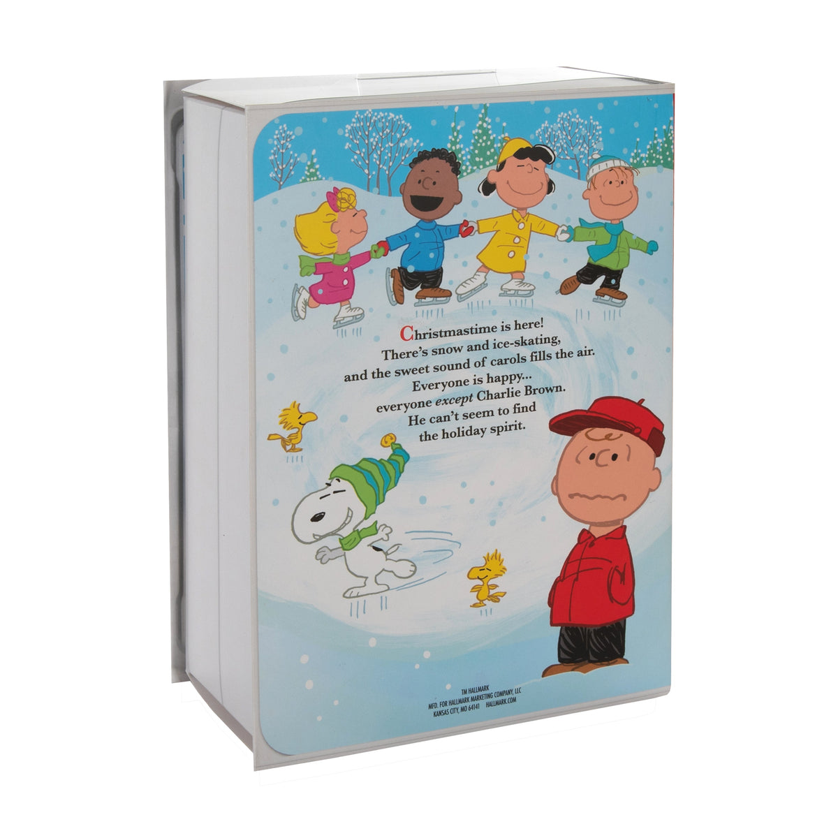 Storied Moments PEANUTS™ Ornaments - Set of 2 - SNOOPY & Doghouse