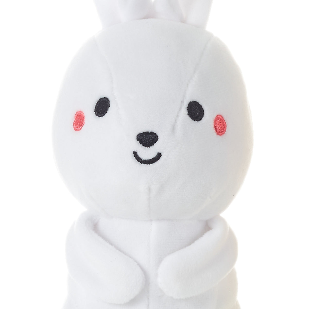 Better Together Bunny & Carrot Magnetic Soft Toy Pair