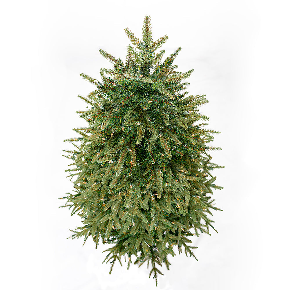 Kurt Adler 6.5' Pre-Lit Clear Incandescent Grand Fir Tree